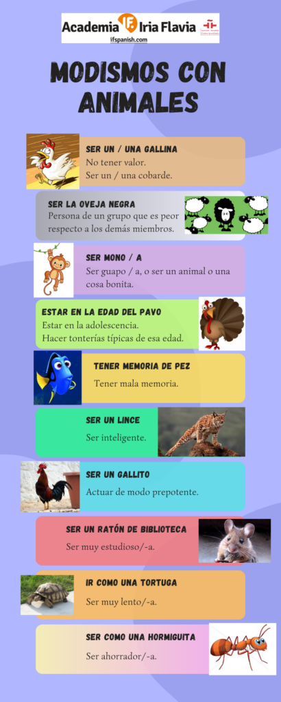 Modismos con animales (infografía)